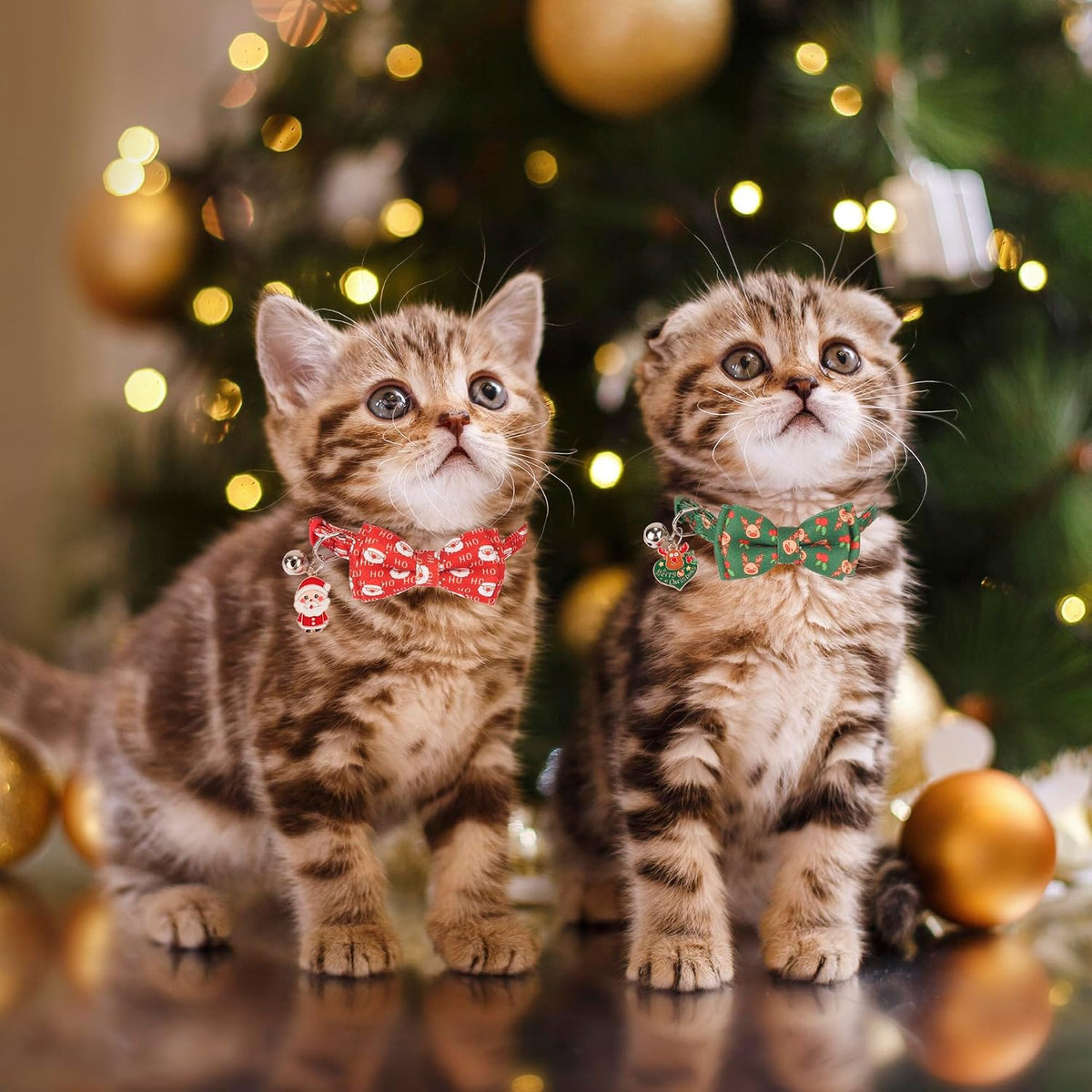 Christmas Cat Collar with Removable Bow Bell, 2 Pack Red Green Santa Reindeer Christmas Collars for Cat Kitten