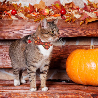 Fall Cat Collar with Bowtie, Fall Leaf Thanksgiving Cat Bow Collar | Detachable Bow Tie Bell, Maple Leaf Charm, Breakaway Buckle, Adjustable, for Cat Kitten, Fall Thanksgiving Holiday Party