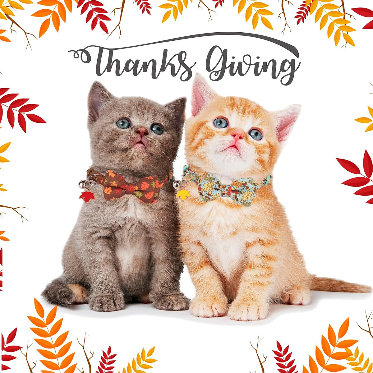 Fall Cat Collar with Bowtie, Fall Leaf Thanksgiving Cat Bow Collar | Detachable Bow Tie Bell, Maple Leaf Charm, Breakaway Buckle, Adjustable, for Cat Kitten, Fall Thanksgiving Holiday Party